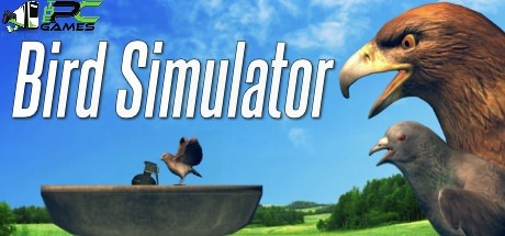 TÉLÉCHARGEMENT GRATUIT DU SIMULATEUR D'OISEAUX