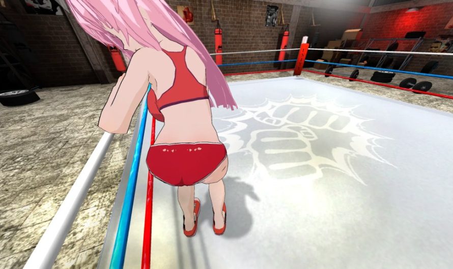 Hentai Fighters VR [v1.2.3] By muhuhu